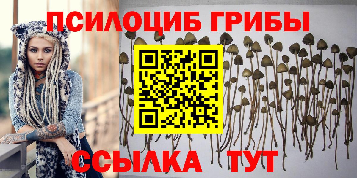 Псилоцибиновые грибы ЛСД  Вход с VPN  Зима  Галлюциногенные грибы Magic Shrooms 